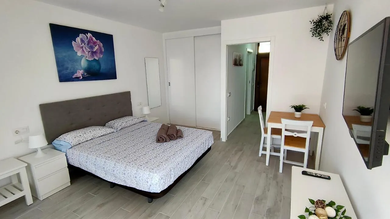 Apartment Grazioso Studio In Las Americas Playa de las Americas